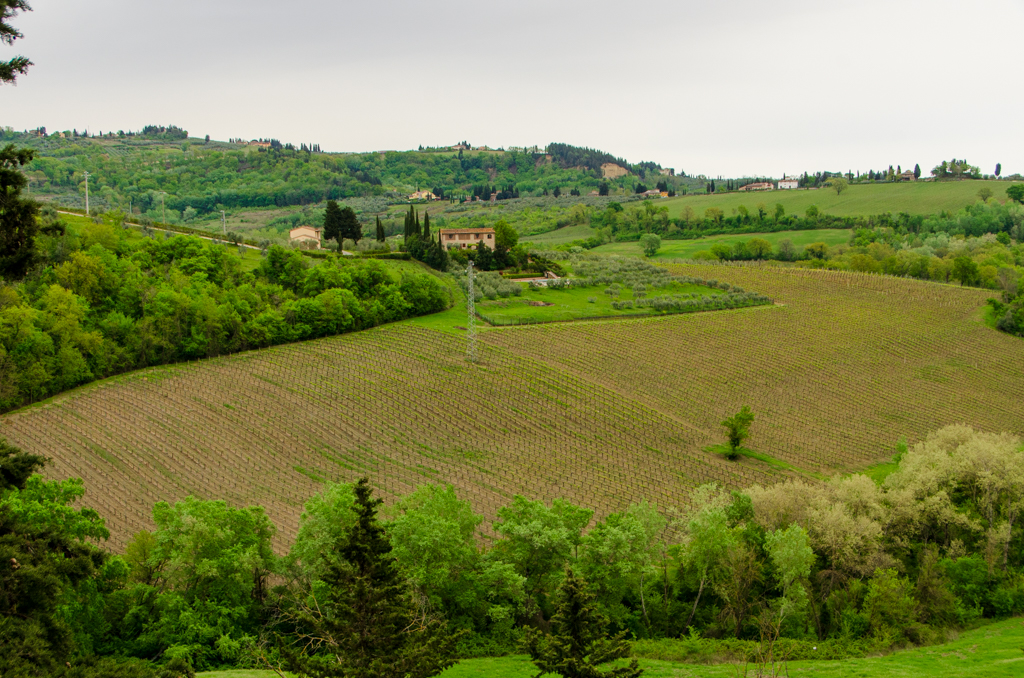 Montalbion .JPG